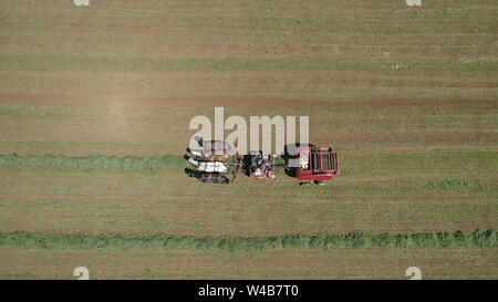 Vista aerea di un agricoltore Amish raccolto il suo raccolto con 4 cavalli e moderne attrezzature Foto Stock