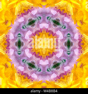 Bordi arrotondati di una forma matematica colorato. Caleidoscopio geometrica pattern sul mirroring di asse di simmetria di riflessione. Forme colorate come una carta da parati Foto Stock