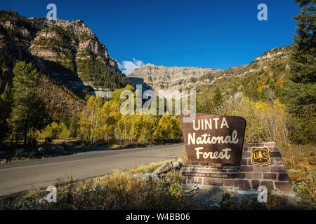 Aspen Grove entrata SEGNO, Uinta National Forest, Montagne Wasatch, Utah Foto Stock