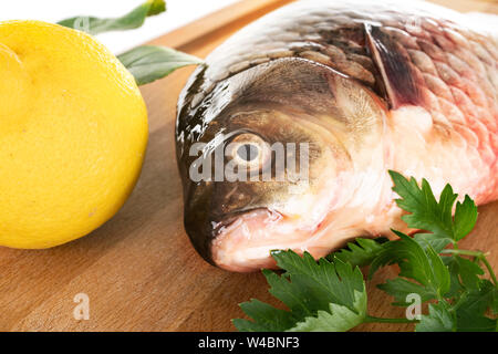 Cyprinus carpio davanti a uno sfondo bianco Foto Stock