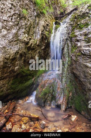 Molla a cascata nella valle Zejmarska, Slovacchia Foto Stock