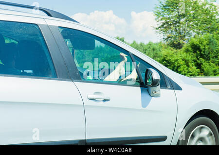 Autostrada A1, gambe femmina (gambe, piedi, piedi) sul cruscotto airbag (dash, quadro della strumentazione), autostrada, Luglio 6, 2019. (CTK foto/Libor Sojka) Foto Stock