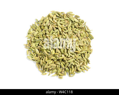 Spice finocchio (Foeniculum vulgare) su uno sfondo bianco Foto Stock