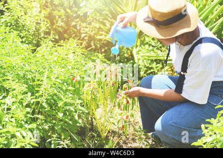 Donna di giardinaggio Mano azienda versando acqua sul fiore e pianta con annaffiatoio in giardino con sole in estate Foto Stock