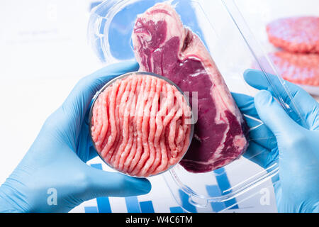 Carni macinate in piastre Petri e imballati sotto vuoto bistecca in laboratorio di uno scienziato mani. Foto Stock