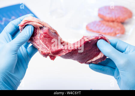 La carne rossa nel laboratorio scienziato mani. Ispezione delle carni controllo controllare o artificiale carne coltivate concetto. Foto Stock