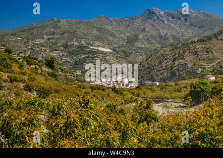 Città di Jete in Rio Verde Valle, Sierra del Chaparral, vicino a Almuñecar, provincia di Granada, Andalusia, Spagna Foto Stock