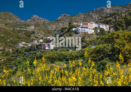 Villaggio di Lentegi, Sierra del Chaparral, provincia di Granada, Andalusia, Spagna Foto Stock