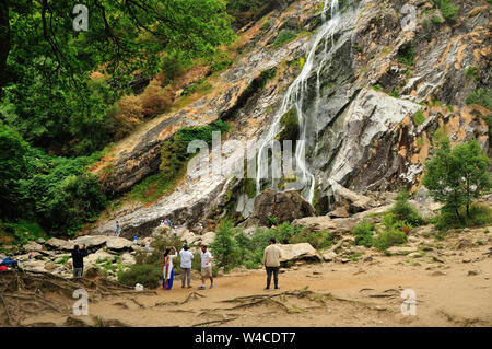 Cascata in Enniskerry, Wicklow, Irlanda Foto Stock