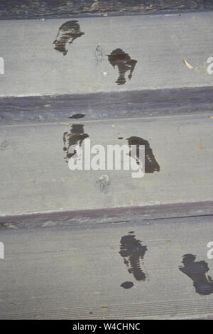 Le stampe di scarpe bagnate di un toddler (due anni) conducono in su i gradini di legno. Foto Stock
