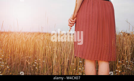 La donna nel campo di grano, donna detiene il chicco di grano in mano. Nessun volto Foto Stock