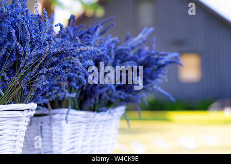 Lavanda fiori stand in canestri di pane bianco sullo sfondo di una finestra di colore arancione in casa Foto Stock