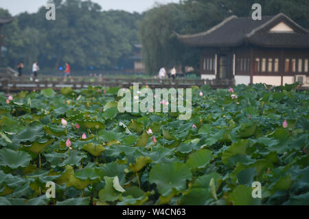 Hangzhou, cinese della Provincia di Zhejiang. 22 Luglio, 2019. I turisti di visitare il West Lake in Hangzhou, est della Cina di Provincia dello Zhejiang, luglio 22, 2019. Credito: Huang Zongzhi/Xinhua/Alamy Live News Foto Stock