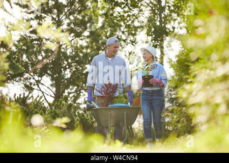 Ritratto di felice coppia senior a camminare verso la telecamera in giardino spingendo il carrello, spazio di copia Foto Stock