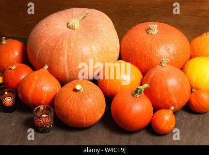 Varie arancione zucca. Composizione di autunno Foto Stock