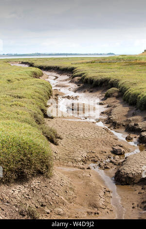 Un saltmarsh creek sul Walney Island, Cumbria, Regno Unito. Foto Stock