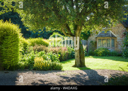 Villaggio soleggiato giardino cottage in luglio dduing metà estate nel Regno Unito Foto Stock