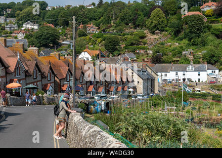 Birra, Seaton, Devon, Inghilterra, Regno Unito. Luglio 2019. Quote crescenti di frutta e verdura su una scogliera sopra la città balneare di birra. Foto Stock