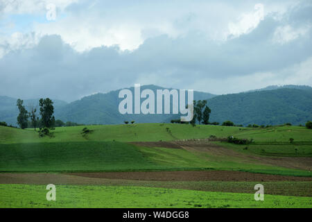 Paesaggio con verdi colline sopra il cielo nuvoloso Foto Stock