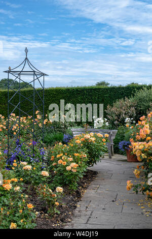 Giardino di Rose in estate a RHS Rosemoor giardini, grande Torrington, Devon, Inghilterra Foto Stock