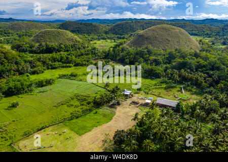 Antenna fuco vista del paesaggio unico della 'Chocolate Hills' area di Bohol nelle Filippine Foto Stock