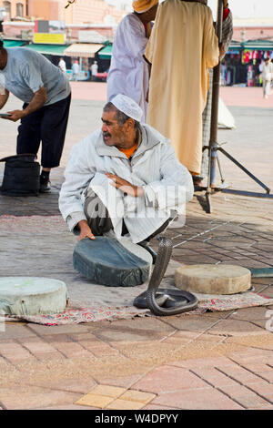 Il serpente incantatore visualizza il nero del rettile morocan snake per passare ai turisti una grande attrazione nella vecchia piazza Medina Marrakech, Marocco Foto Stock