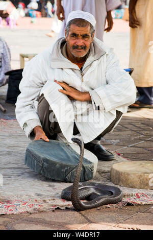 Il serpente incantatore visualizza il nero del rettile morocan snake per passare ai turisti una grande attrazione nella vecchia piazza Medina Marrakech, Marocco Foto Stock