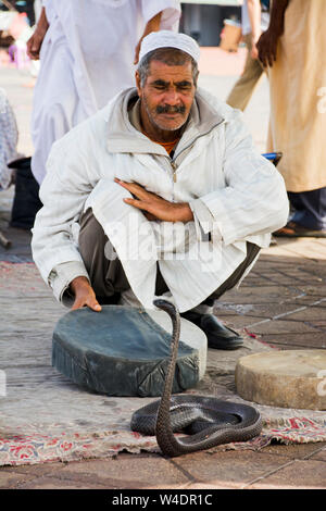 Il serpente incantatore visualizza il nero del rettile morocan snake per passare ai turisti una grande attrazione nella vecchia piazza Medina Marrakech, Marocco Foto Stock