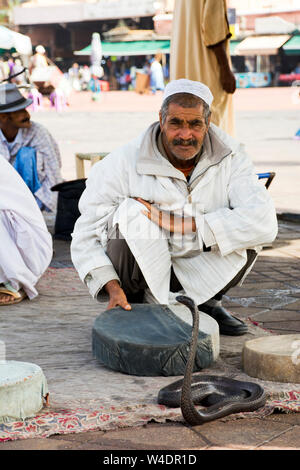 Il serpente incantatore visualizza il nero del rettile morocan snake per passare ai turisti una grande attrazione nella vecchia piazza Medina Marrakech, Marocco Foto Stock