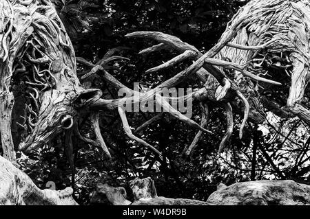 Una scultura in legno di una coppia di solchi cervi sul display in un parco scuplure Foto Stock