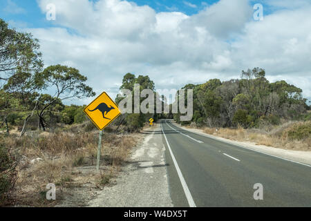 Strada a Kangaroo Island con segnaletica di avvertimento canguri sulla strada Foto Stock