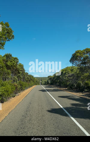 Strada tranquilla attraverso gli alberi su Kangaroo Island con nessun altro veicolo in vista. Strada asfaltata conduce occhio all orizzonte dove esso svanisce. Foto Stock