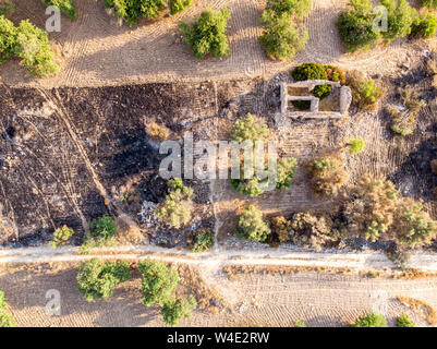 Vista aerea di un campo rurale in mattinata il tiro viene effettuato in un campo nel sud della Sicilia, Italia Foto Stock