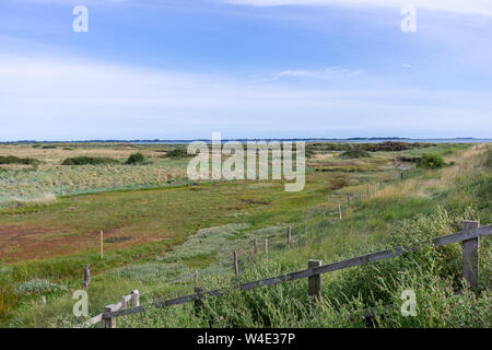 Vista attraverso paludi Farlington riserva naturale lungo il Solent modo a Langstone Harbour in Portsmouth durante l'estate 2019, Hampshire, Inghilterra, Regno Unito Foto Stock