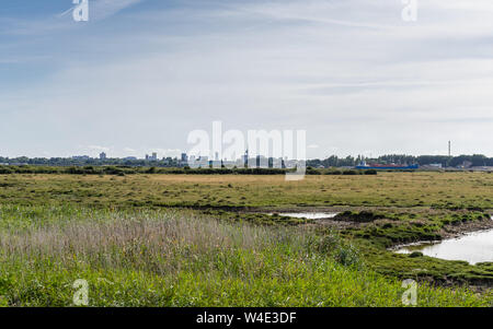 Vista attraverso paludi Farlington riserva naturale lungo il Solent modo a Langstone harbour a Portsmouth durante l'estate 2019, Hampshire, Inghilterra, Regno Unito Foto Stock