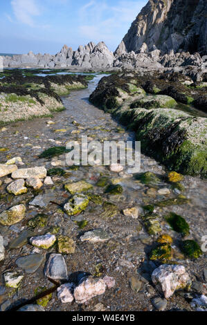 Il Bennett's bocca vicino al punto di Bull, North Devon, Regno Unito Foto Stock