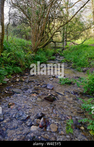 Stream e ponte in Kinever vallata che conduce a Bennetts bocca, Bull punto, North Devon, Regno Unito Foto Stock