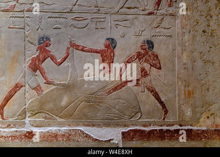 Rilievi colorate sulle pareti del Kagemni Mastaba, - a nord della piramide di Teti a Saqqara, necropoli dell'antica capitale egiziana di Memphis Foto Stock