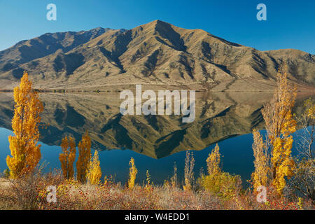 Alpi 2 Ocean pista ciclabile in autunno, Lago Benmore, e Benmore gamma, Waitaki Valley, North Otago, Isola del Sud, Nuova Zelanda Foto Stock