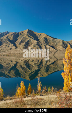 Alpi 2 Ocean pista ciclabile in autunno, Lago Benmore, e Benmore gamma, Waitaki Valley, North Otago, Isola del Sud, Nuova Zelanda Foto Stock