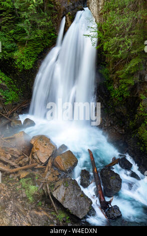 Signora scende in Strathcona Provincial Park, vicino a Campbell River, Isola di Vancouver, British Columbia, Canada Foto Stock