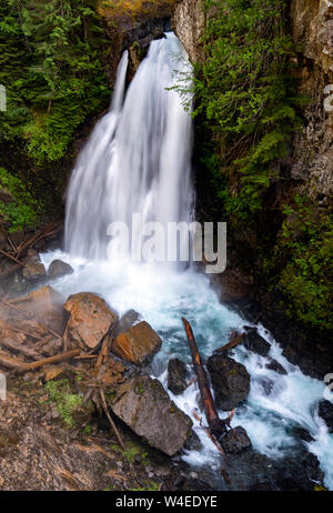 Signora scende in Strathcona Provincial Park, vicino a Campbell River, Isola di Vancouver, British Columbia, Canada Foto Stock