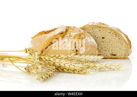 Gruppo di due metà di freschi di forno segale pane di grano uno tagliato in due con dorate spighe di grano isolato su sfondo bianco Foto Stock