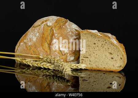 Gruppo di una metà una fetta di fresca di forno di segale pane di frumento con dorate spighe di grano isolato sul vetro nero Foto Stock