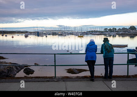 Vista della Baia di quercia marina in un giorno nuvoloso - Victoria, Isola di Vancouver, British Columbia, Canada Foto Stock