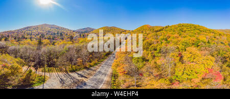 Vista aerea della strada in autunno bello e mite foresta al tramonto. Bellissimo paesaggio con vuoto strada rurale, alberi con rosso e arancio foglie. Autostrada attraverso Foto Stock