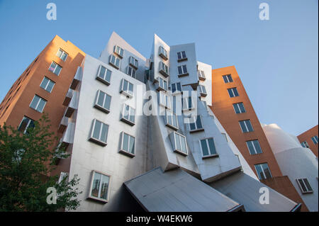 Edificio stata da Frank Gehry in MIT Foto Stock