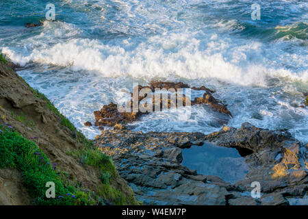 La mattina presto, elevato angolo vista ingrandita di un pool di marea, oceano onde che si schiantano contro le rocce e una scogliera in Laguna Beach in California.