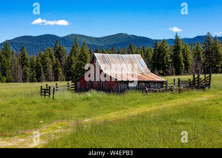 Weathered, rustico rosso fienile nel grande nord-ovest americano. Foto Stock