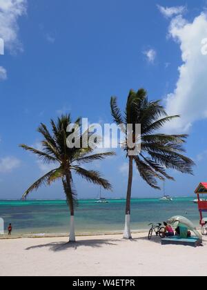 La spiaggia su Ambergris Caye, Beliaze, paradiso tropicale isola dei Caraibi. Foto Stock